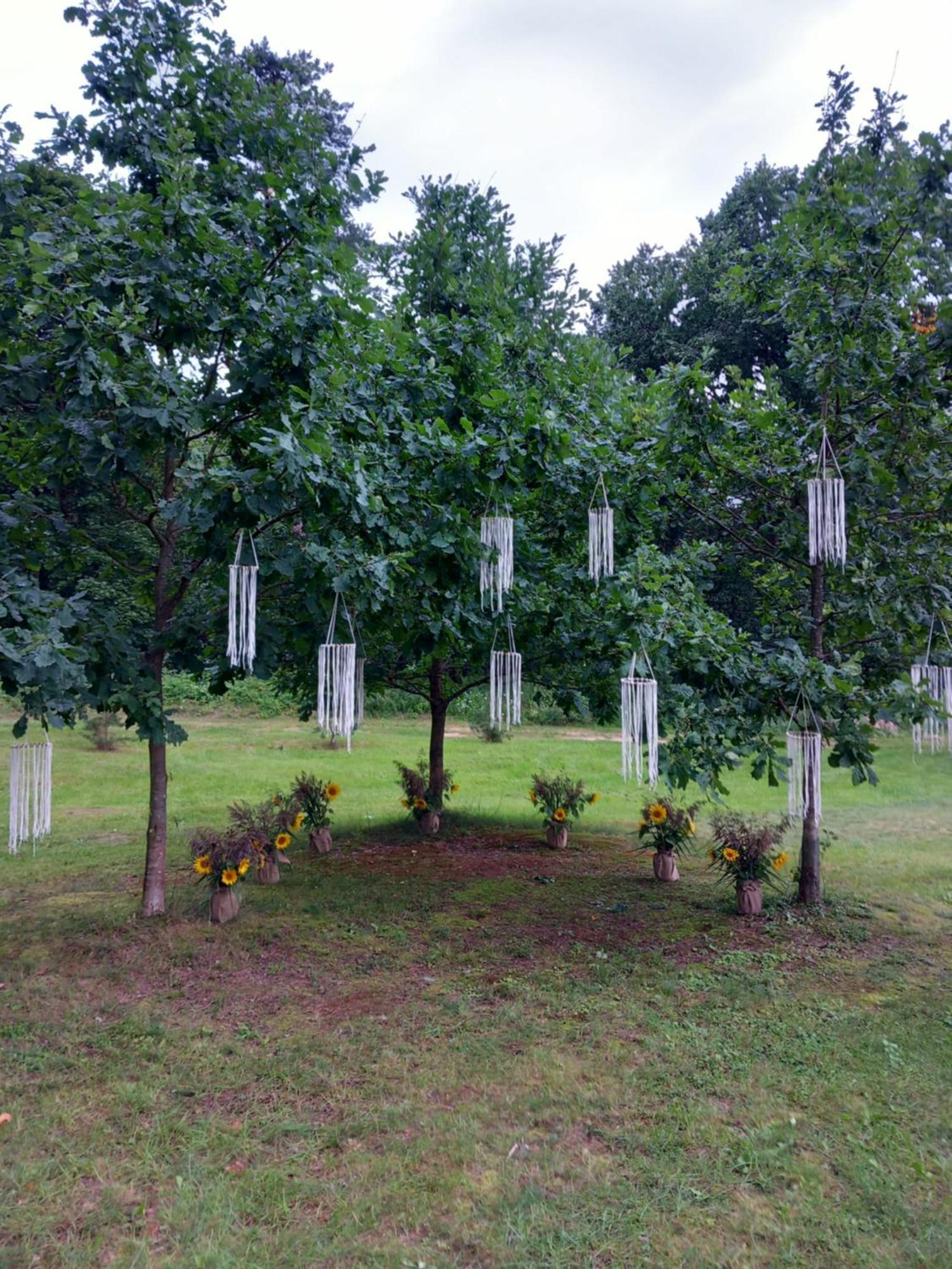 Upes 19 Campingplatz